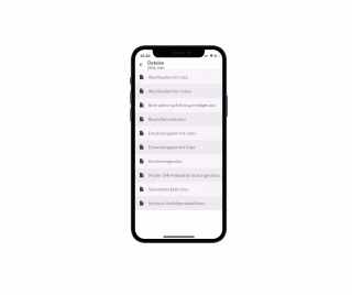 app-teilhabeassistenz-dokumente